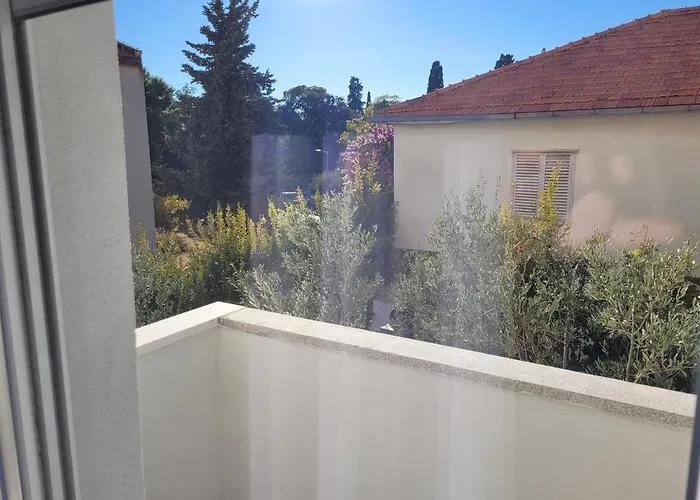 Roko * טרוגיר
